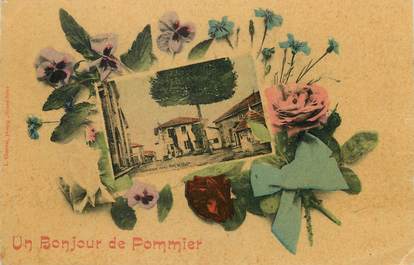 CPA FRANCE 38 " Pommier, Vue"