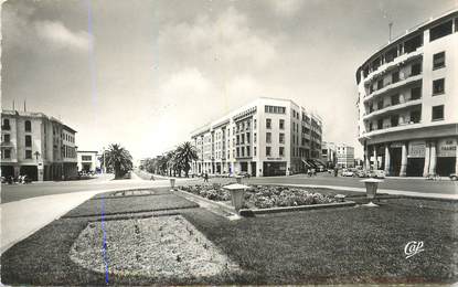 CPSM MAROC "Rabat, l'avenue Mohammed V"