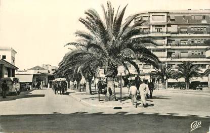 CPSM MAROC "Meknès, la place du marché"