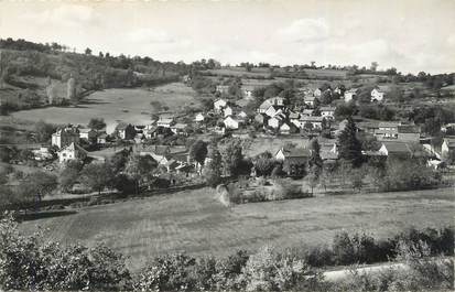 CPSM FRANCE 38 " Panossas, Vue générale"