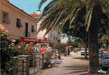 CPSM FRANCE 83 "Sanary sur mer, Port issol, le boulevard"