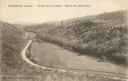 CPA FRANCE 38 " Pressieu, Vallée de la Combe, route de Montalieu"