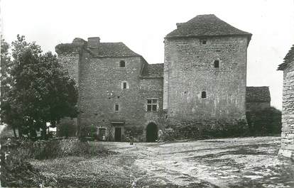 CPSM FRANCE 38 " St Hilaire de Brens, Le Château du Mont Plaisans"