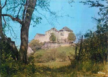 CPSM FRANCE 38 " St Hilaire de Brens, Le Château du Mont Plaisant"