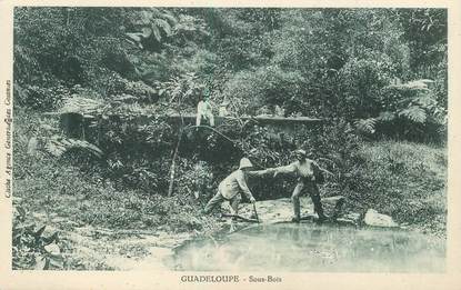 CPA GUADELOUPE "Sous Bois"