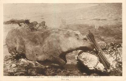 CPA GUADELOUPE "Saintes, Terre de Haut, le porc marin"