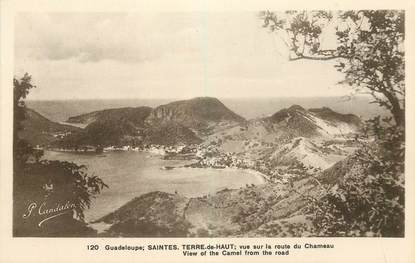 CPA GUADELOUPE "Saintes, Terre de Haut, vue sur la rte du Chameau"