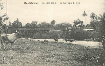 CPA GUADELOUPE "Sainte Rose, le pont de la Boucan"