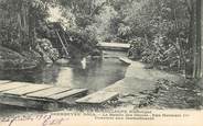 Guadeloupe CPA GUADELOUPE "Gourbeyre Dole, le bassin des Dames"