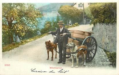 CPA SUISSE / ATTELAGE CHIEN