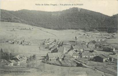 CPA FRANCE 88 "Luvigny, Vue générale"