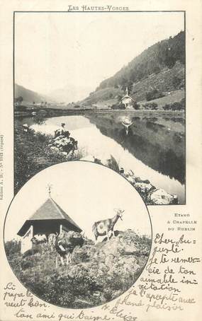 CPA FRANCE 88 " Le Rudlin, Etang et chapelle"