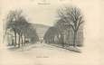 CPA FRANCE 88 "Remiremont, Avenue Carnot"