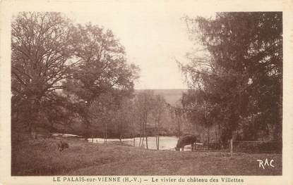 CPA FRANCE 87 " Le Palais sur Vienne, Le vivier du Château des Villettes'"