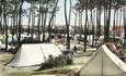 CPA  FRANCE 85 "Sables d'Olonne, le camp des Roses" / CAMPING