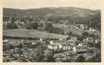 CPSM FRANCE 87 "Neuvic Entier, Vue de Chateauneuf"