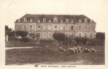 CPA FRANCE 87 " Bellac, Ecole supérieure"