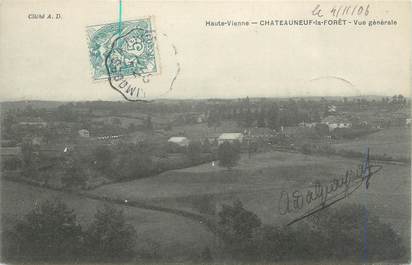 CPA FRANCE 87 " Chateauneuf la Forêt, Vue générale"