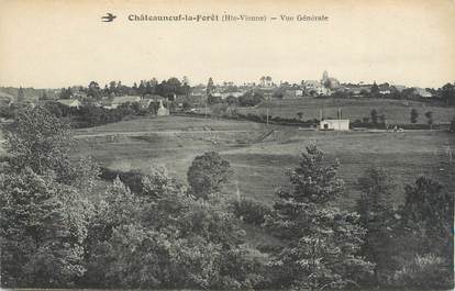 CPA FRANCE 87 " Chateauneuf la Forêt, Vue générale"