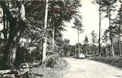 CPSM FRANCE 87 " Chateauneuf la Forêt, La route de la forêt, la Croix de Serre"