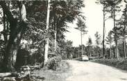 87 Haute Vienne CPSM FRANCE 87 " Chateauneuf la Forêt, La route de la forêt, la Croix de Serre"