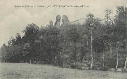 CPA FRANCE 87 " Chateauponsac, Ruines du château de Ventenat"