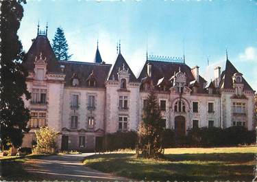 CPSM FRANCE 87 " Neuvic Entier, Le château"