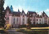 87 Haute Vienne CPSM FRANCE 87 " Neuvic Entier, Le château"