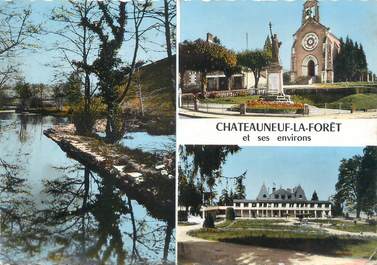 CPSM FRANCE 87 "Chateauneuf la Forêt, Vues"