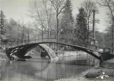 CPSM FRANCE 87 "Aixe sur Vienne, Le pont Romain"