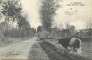 91 Essonne CPA FRANCE 91 " Limours, Cote de Roussigny"