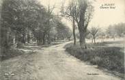 91 Essonne CPA FRANCE 91 "Bligny, Chemin Neuf"