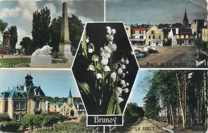 CPSM FRANCE 91 " Brunoy, Vues"