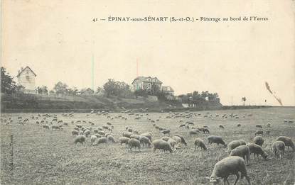 CPA FRANCE 91 "Epinay sous Sénart, Pâturage au bord de l'Yerres"