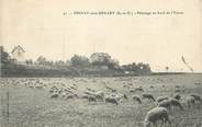 91 Essonne CPA FRANCE 91 "Epinay sous Sénart, Pâturage au bord de l'Yerres"