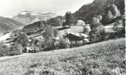 74 Haute Savoie CPSM FRANCE 74 " Samoëns, Vue sur le Grenairon"