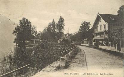 CPA FRANCE 74 " Duingt, Les Libellules, le pavillon"