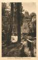 74 Haute Savoie CPA FRANCE 74 " Duingt"