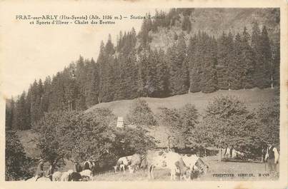 CPA FRANCE 74 " Praz sur Arly, Le Chalet des Evettes"