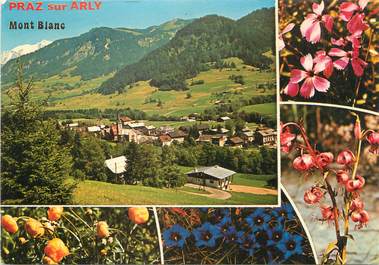 CPSM FRANCE 74 " Praz sur Arly, Vues"