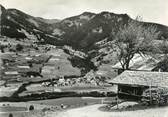 74 Haute Savoie CPSM FRANCE 74 " Praz sur Arly, Vue générale"