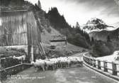 74 Haute Savoie CPSM FRANCE 74 " Sixt , La Route de Tenneverges"