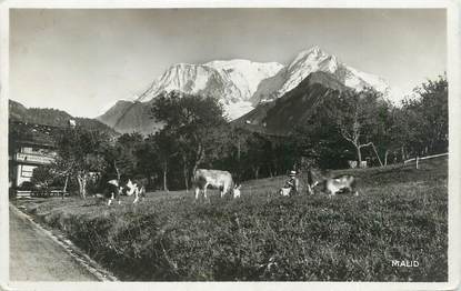 CPSM FRANCE 74 "St Nicolas de Véroce, Le Mont Blanc"