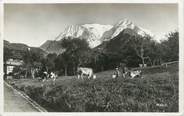 74 Haute Savoie CPSM FRANCE 74 "St Nicolas de Véroce, Le Mont Blanc"