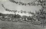 74 Haute Savoie CPSM FRANCE 74 " Collonges sous Salève, Vue générale"