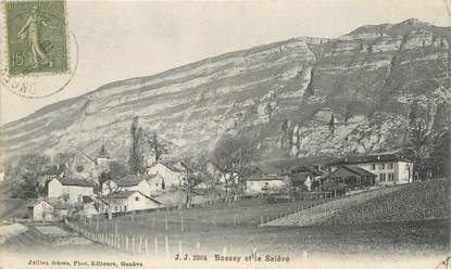 CPA FRANCE 74 "Bossey et le Salève"