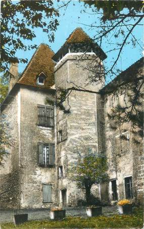 CPSM FRANCE 38 " St Etienne de St Geoirs, La tour du château"