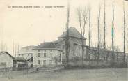 38 Isere CPA FRANCE 38 " Le Bois de Roche, Le Château du Rousset"