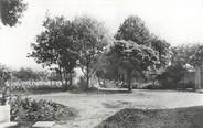 38 Isere CPSM FRANCE 38 " St Prim, Maison de repos, allée des tilleuls"