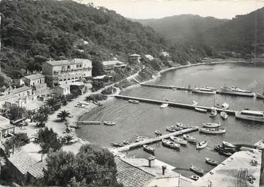 CPSM FRANCE 83 "Ile de Port Cros, Vue d'ensemble sur le port et le village"